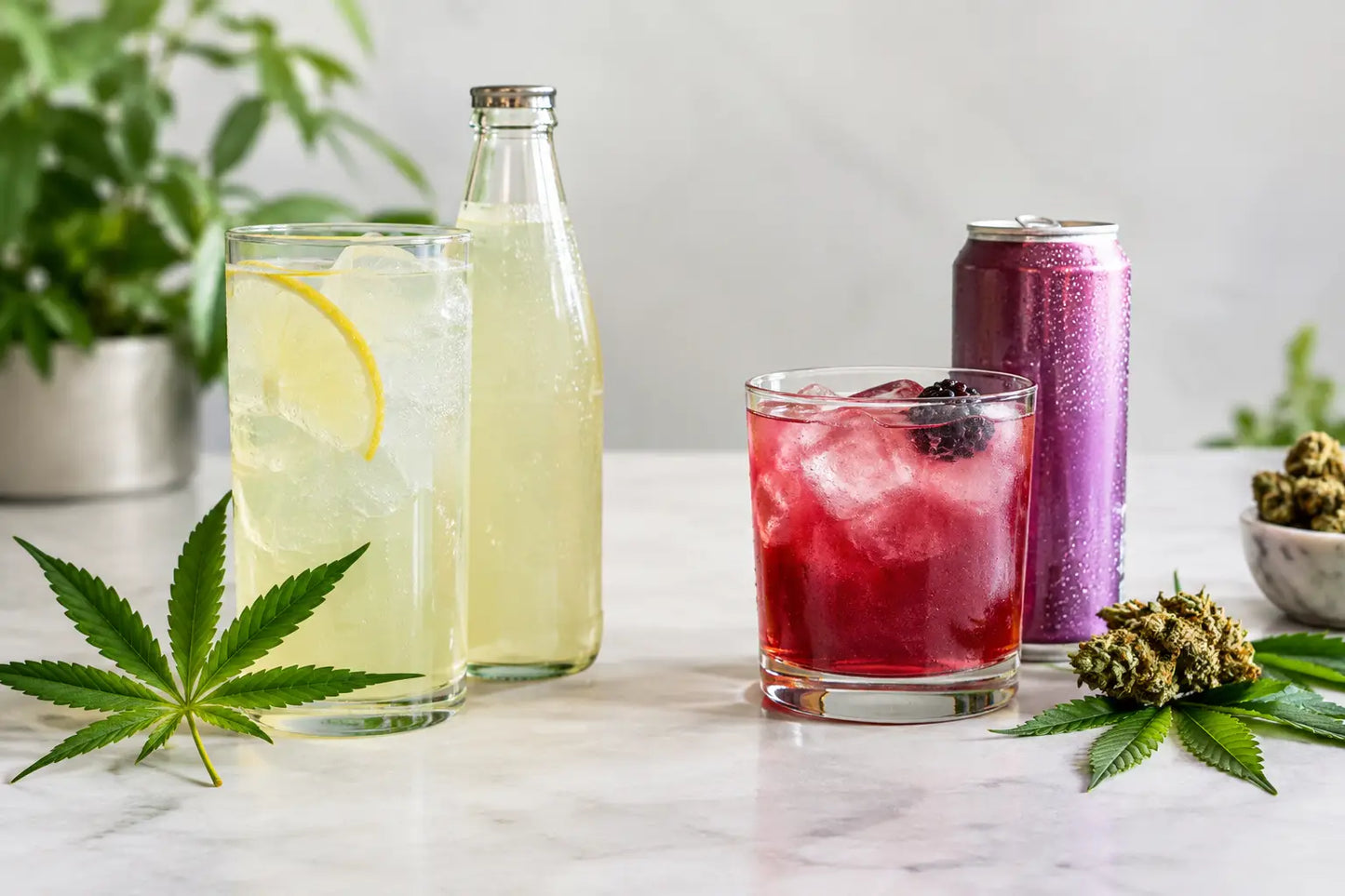 Hemp Beverages Versus THC Drinks Compared